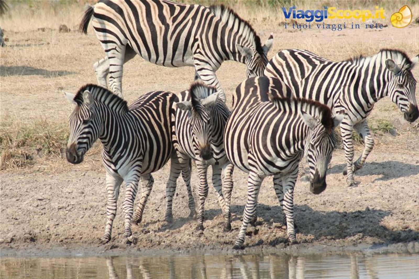 Foto di viaggio in SUD AFRICA