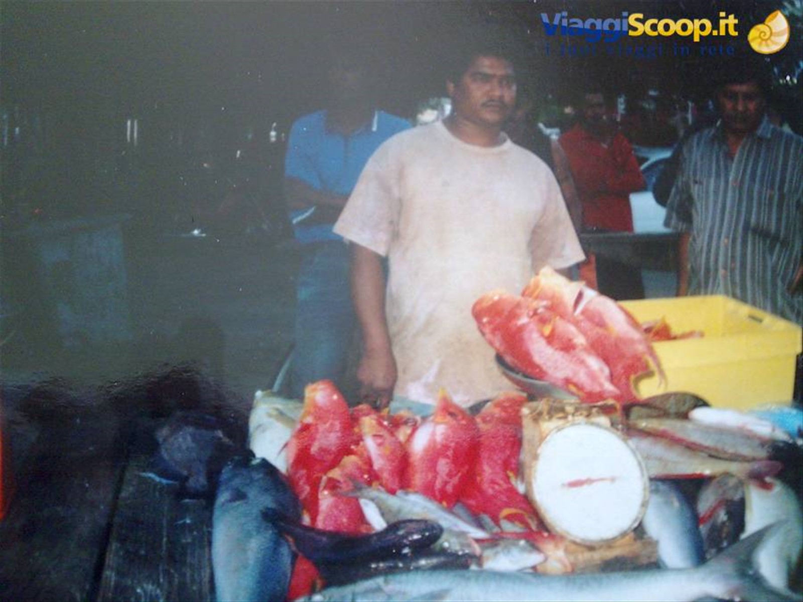 Pescatori