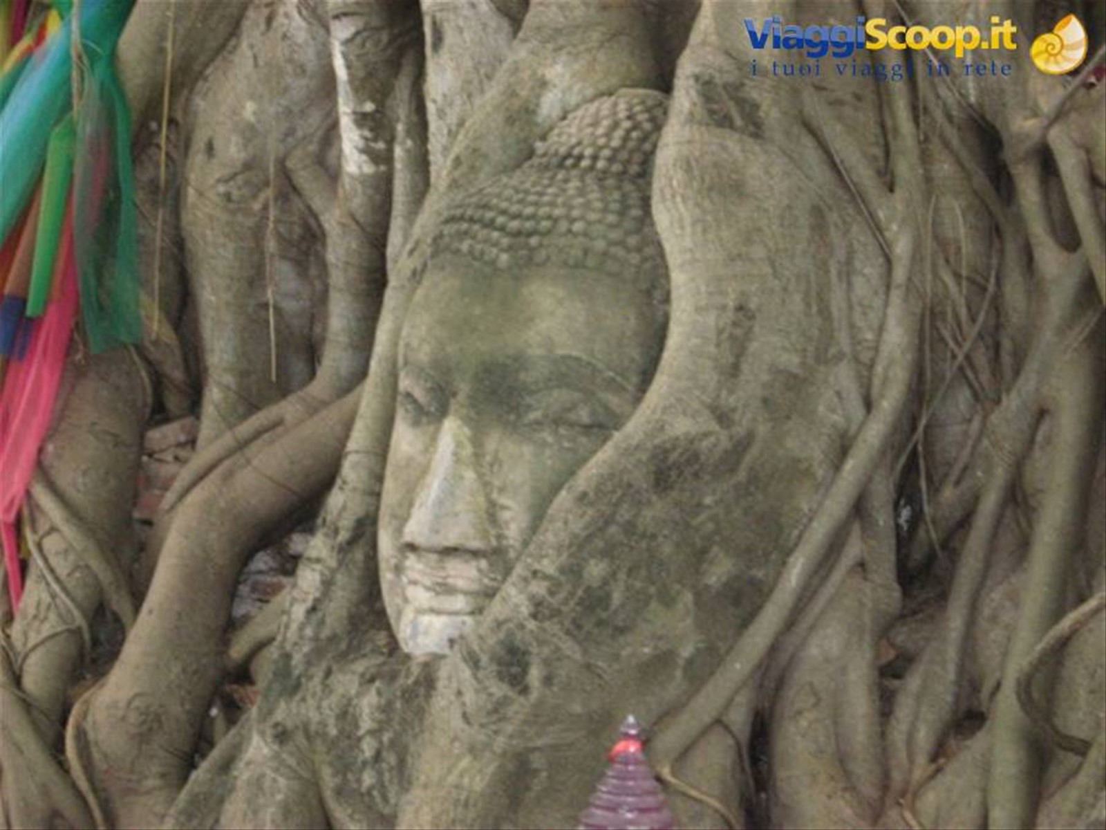 Foto di viaggio in TAILANDIA