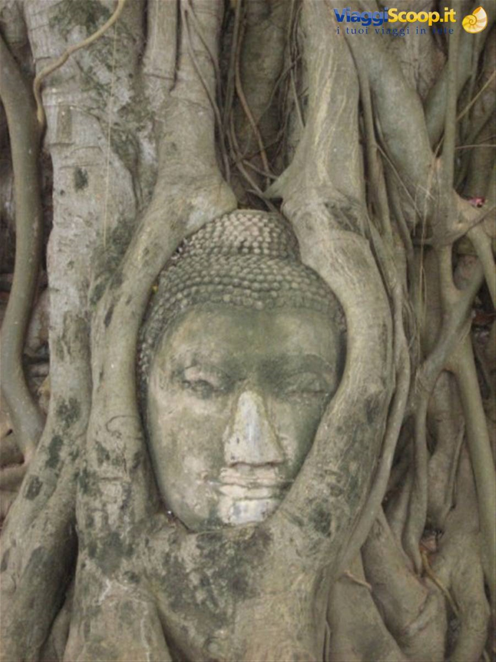 Foto di viaggio in TAILANDIA