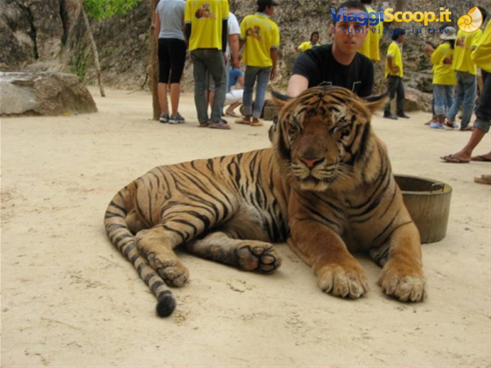 Foto di viaggio in TAILANDIA