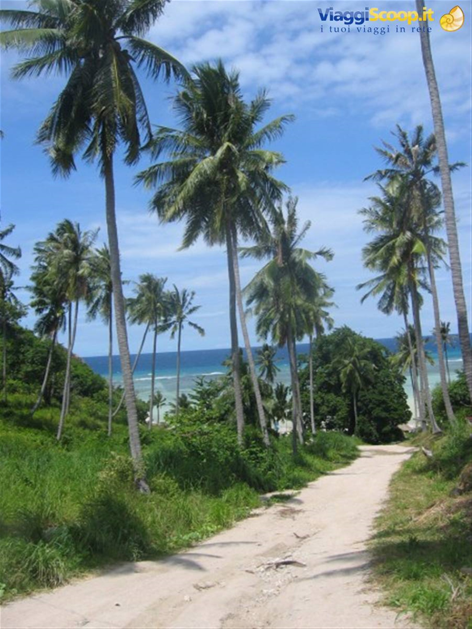 Foto di viaggio in TAILANDIA