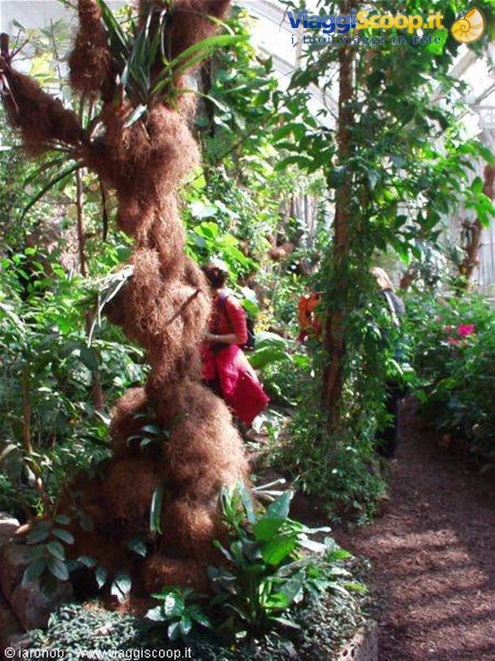 Casa delle farfalle - giardini Burggarten