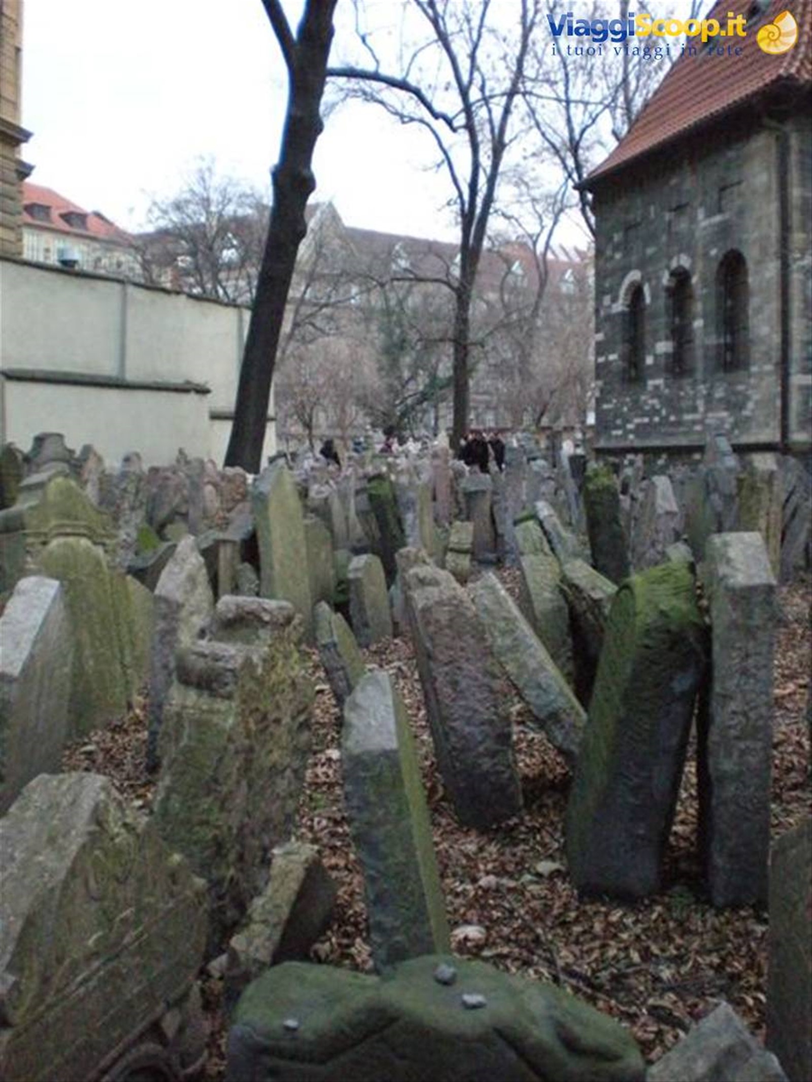 Cimitero ebraico