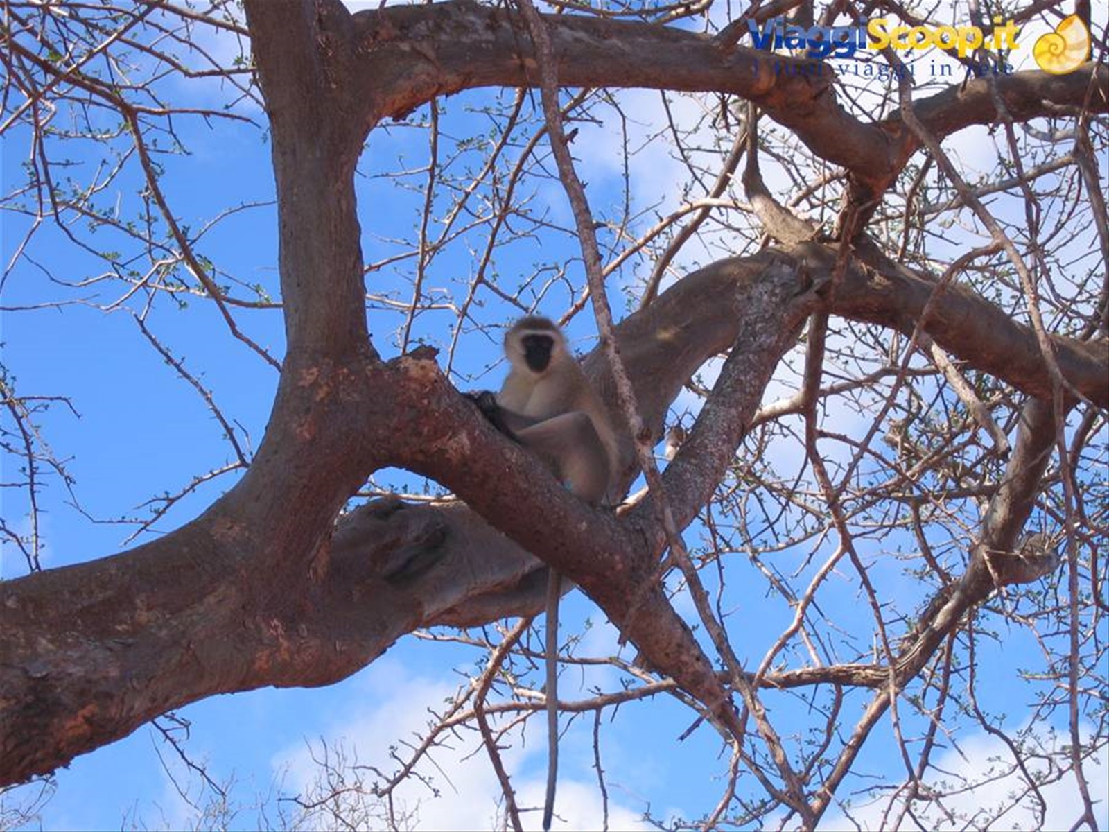Foto di viaggio in KENYA