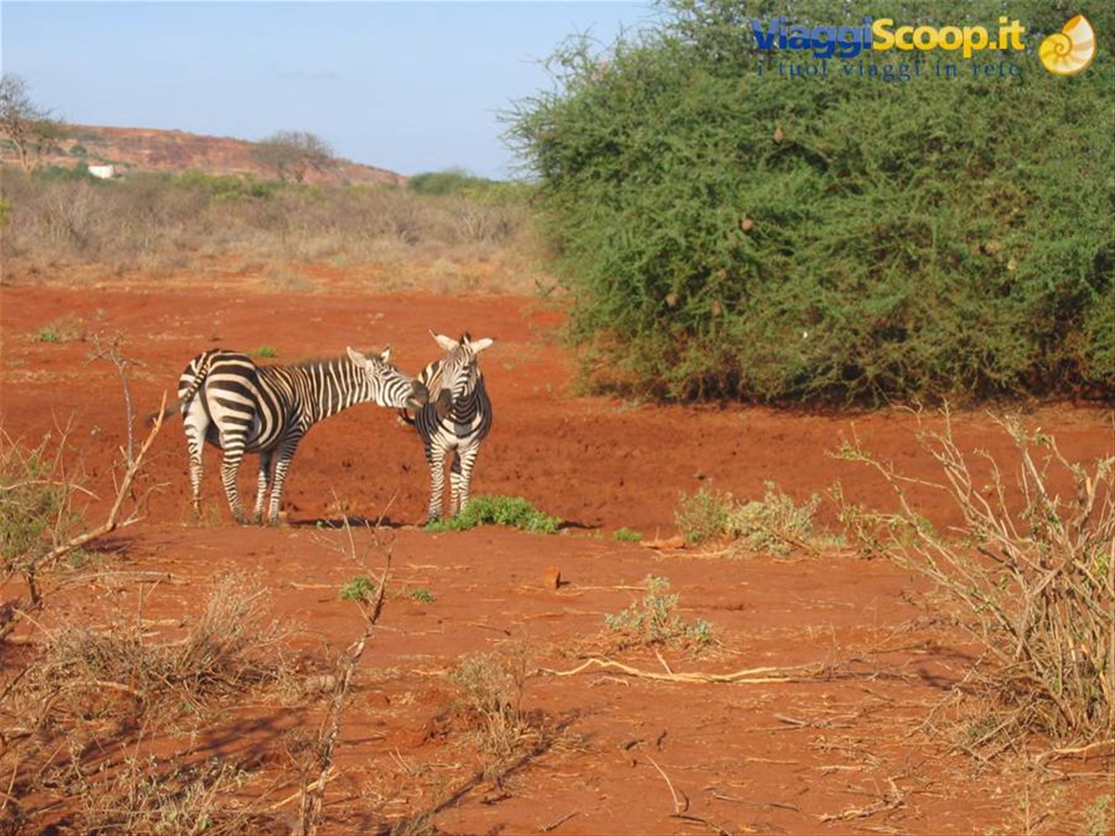 Foto di viaggio in KENYA