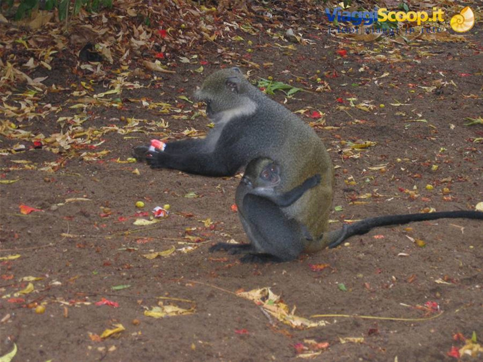 Foto di viaggio in KENYA