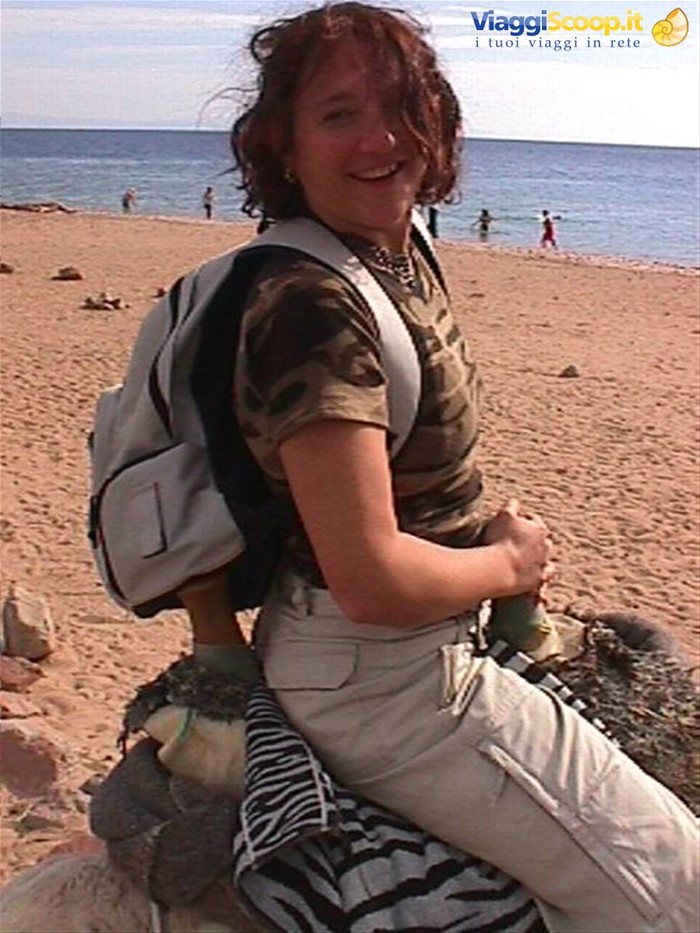 abu gallum