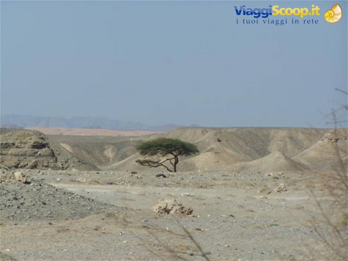 Deserto