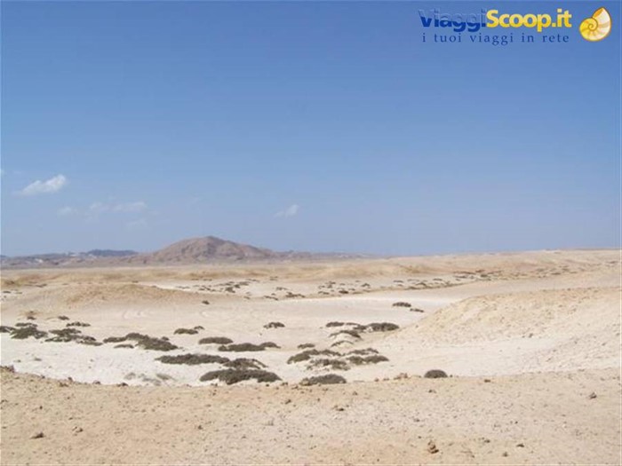 Sharm En Luli