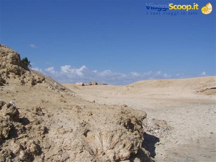 Passeggiata lungo la spiaggia