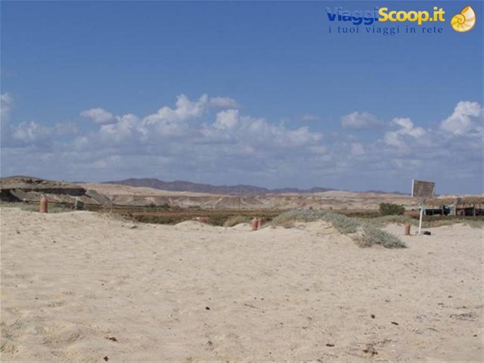 Passeggiata lungo la spiaggia