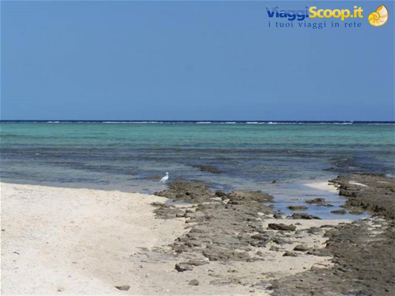 Passeggiata lungo la spiaggia