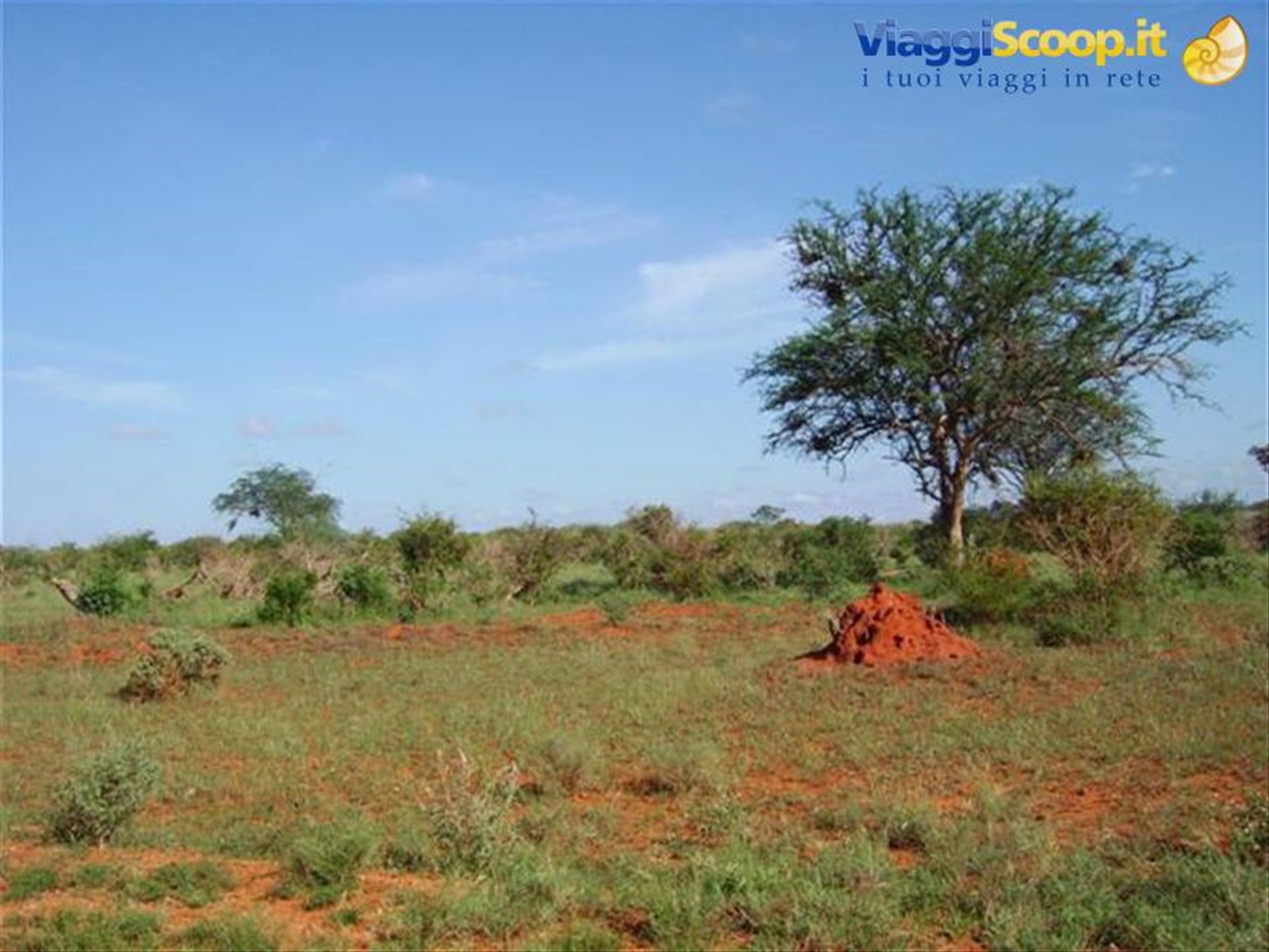 Tsavo Est