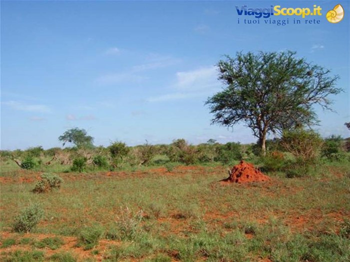 Tsavo Est