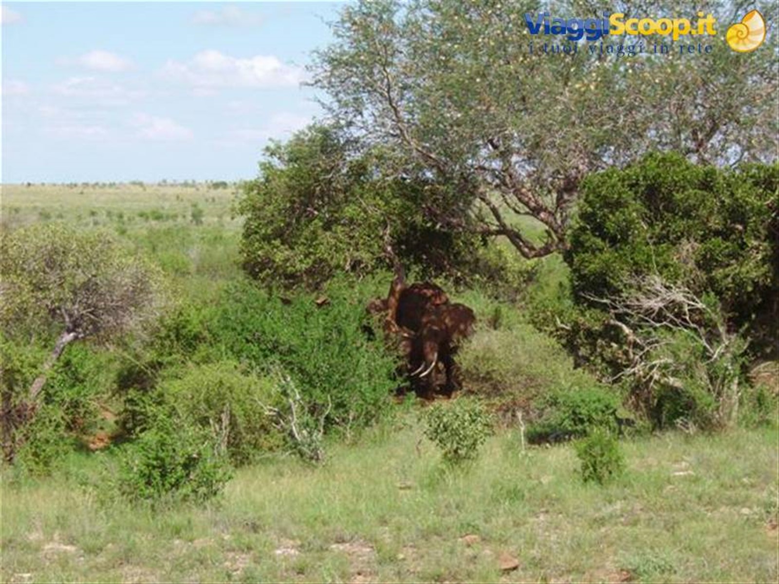 Foto di viaggio in KENYA