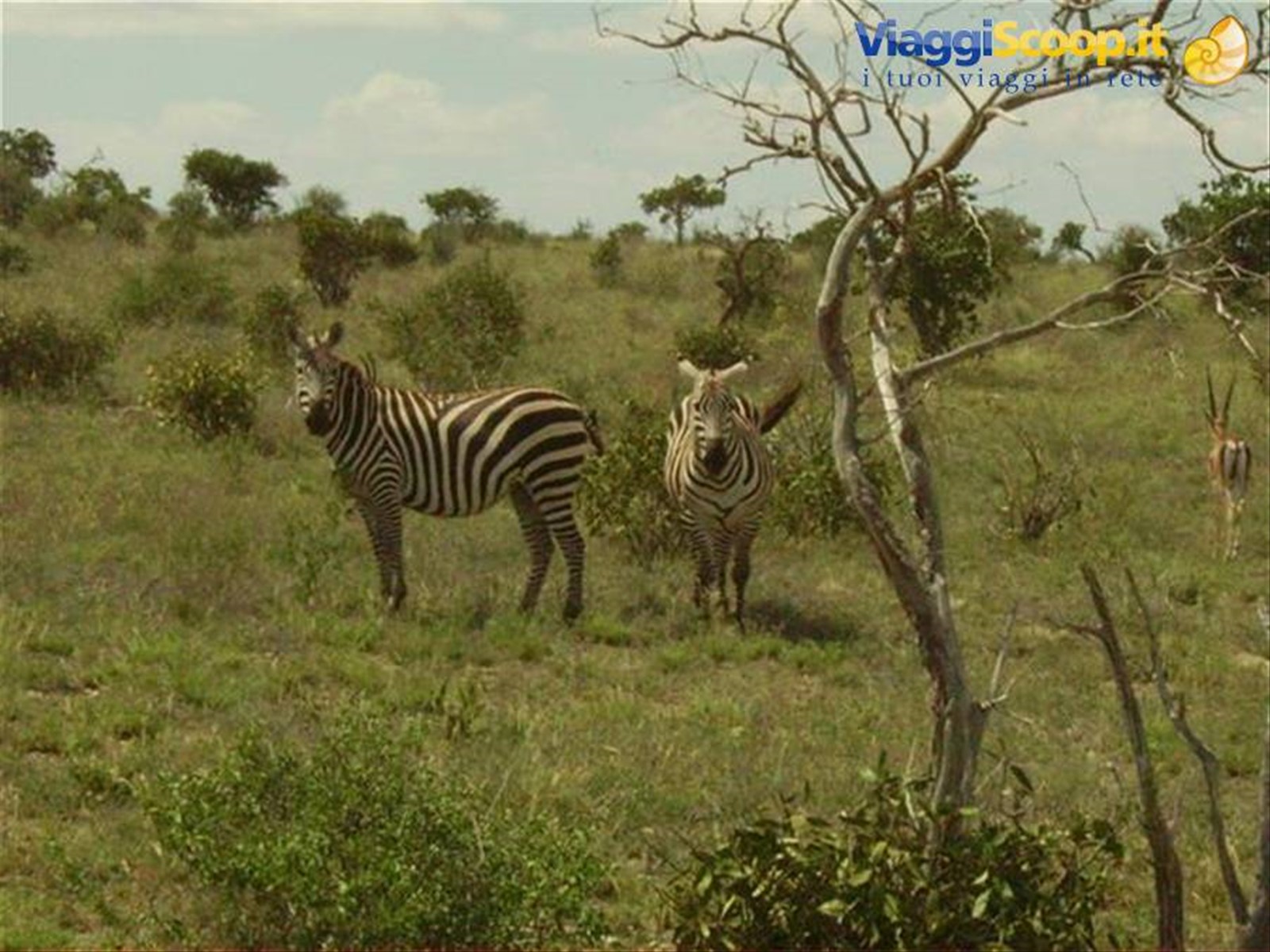 Foto di viaggio in KENYA