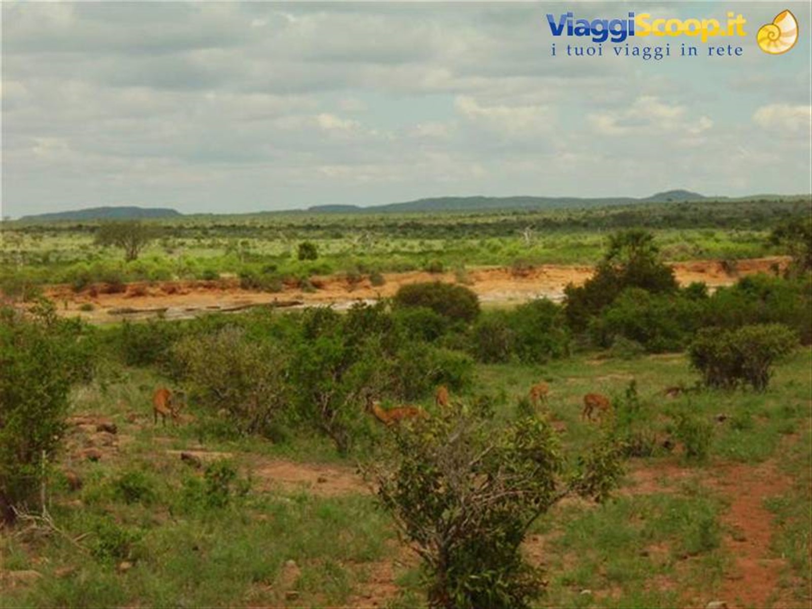 Foto di viaggio in KENYA