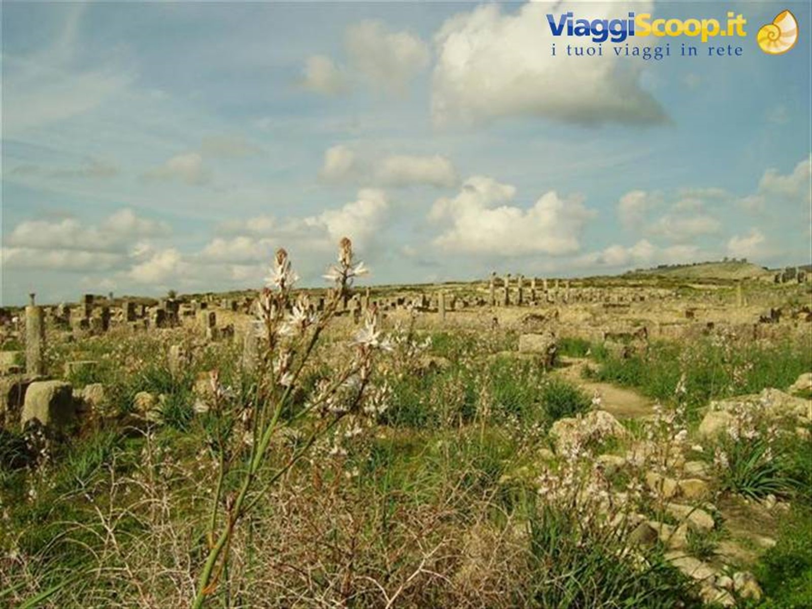 Foto di viaggio in MAROCCO