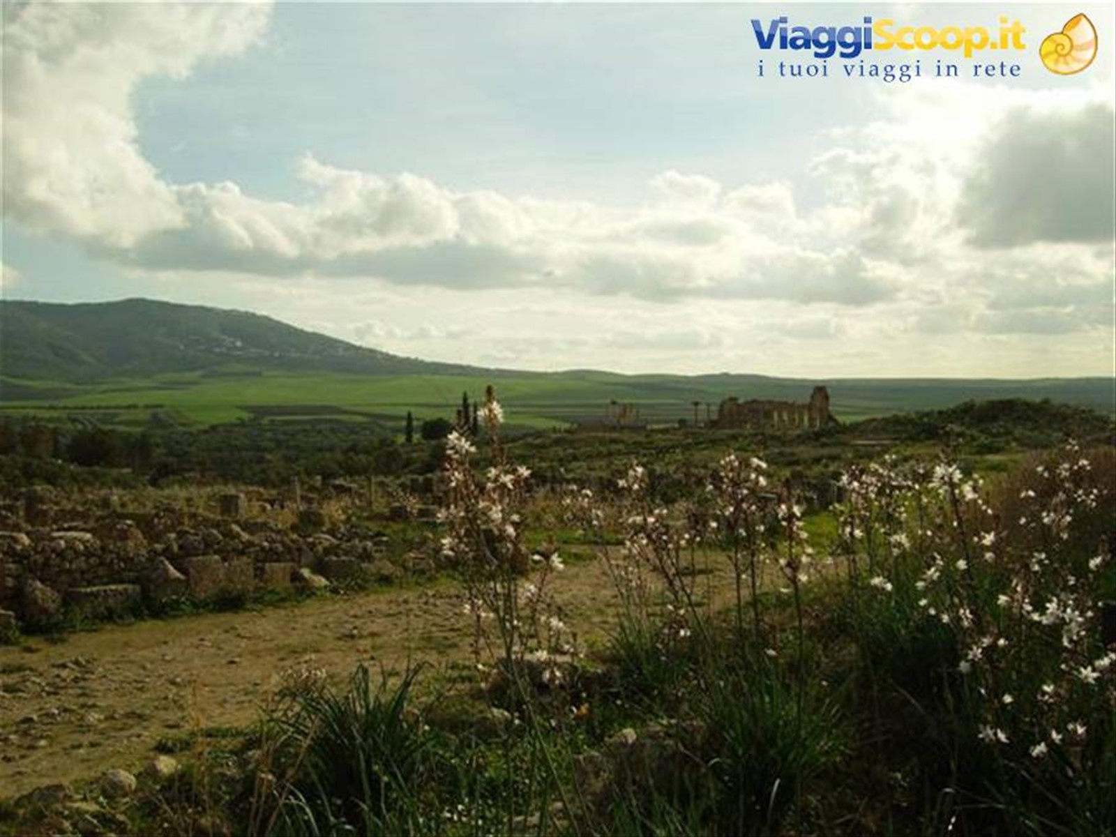 Foto di viaggio in MAROCCO