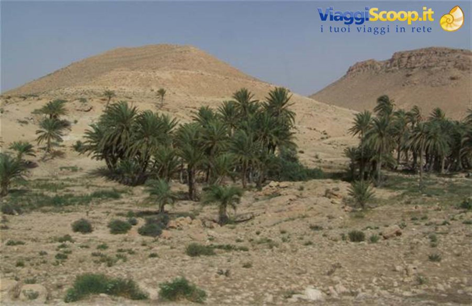 Foto di viaggio in TUNISIA