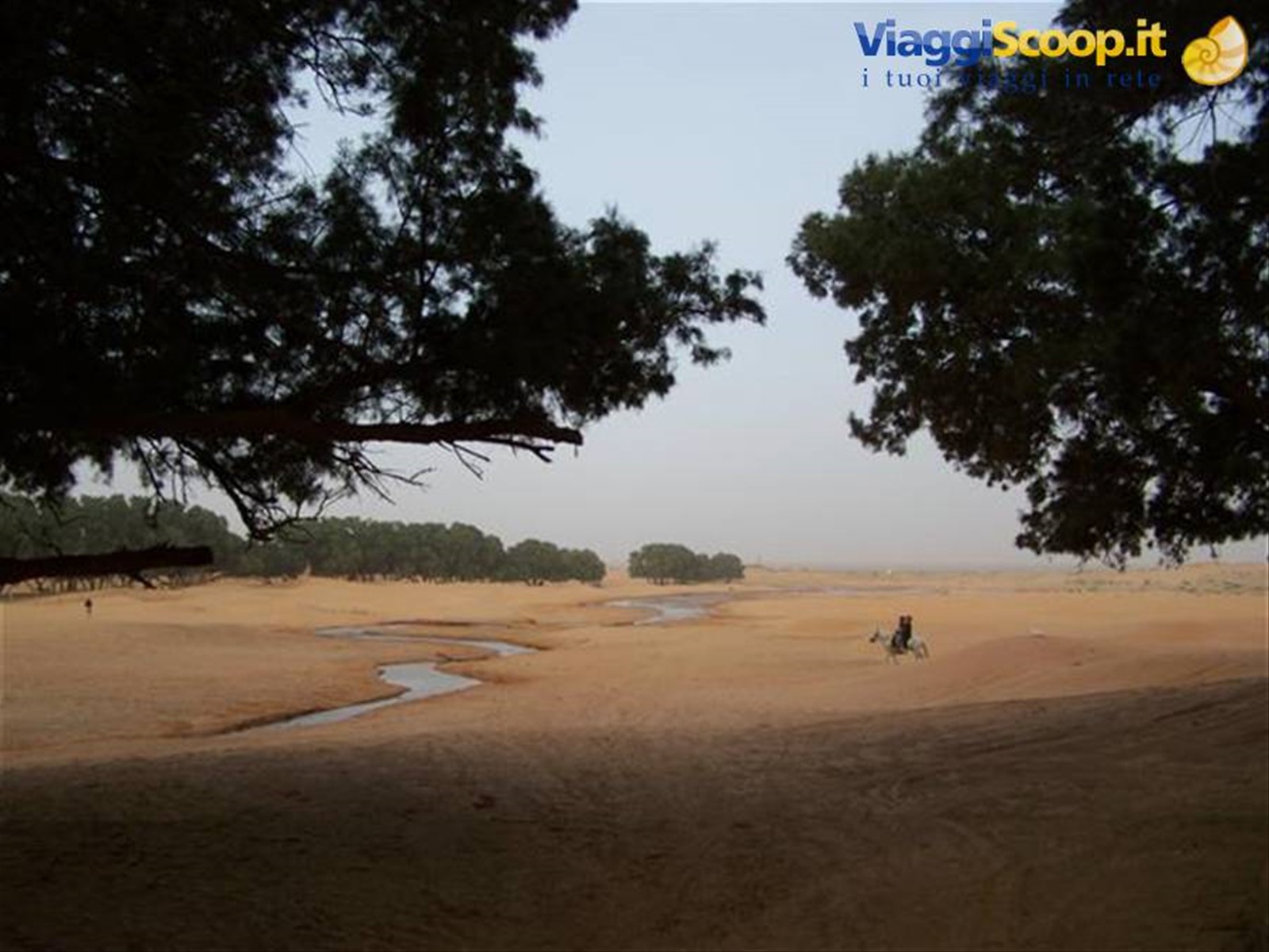 Deserto alle spalle del campo tendato di Ksar Ghilane