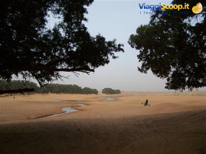 Deserto alle spalle del campo tendato di Ksar Ghilane