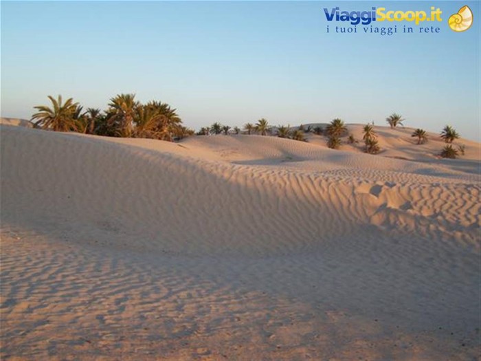 Cammellata al tramonto nel deserto di Douz