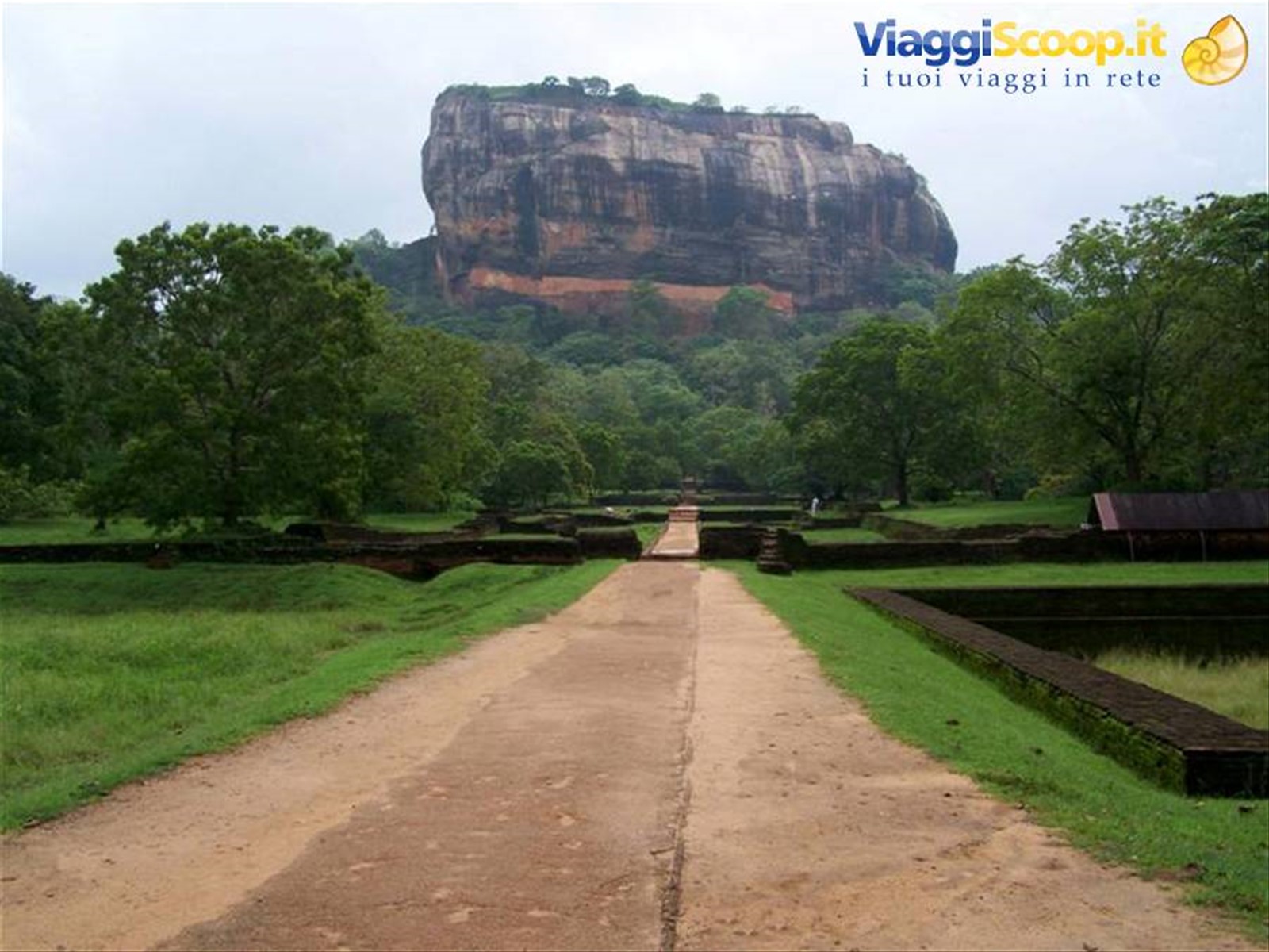 Foto di viaggio in SRI LANKA