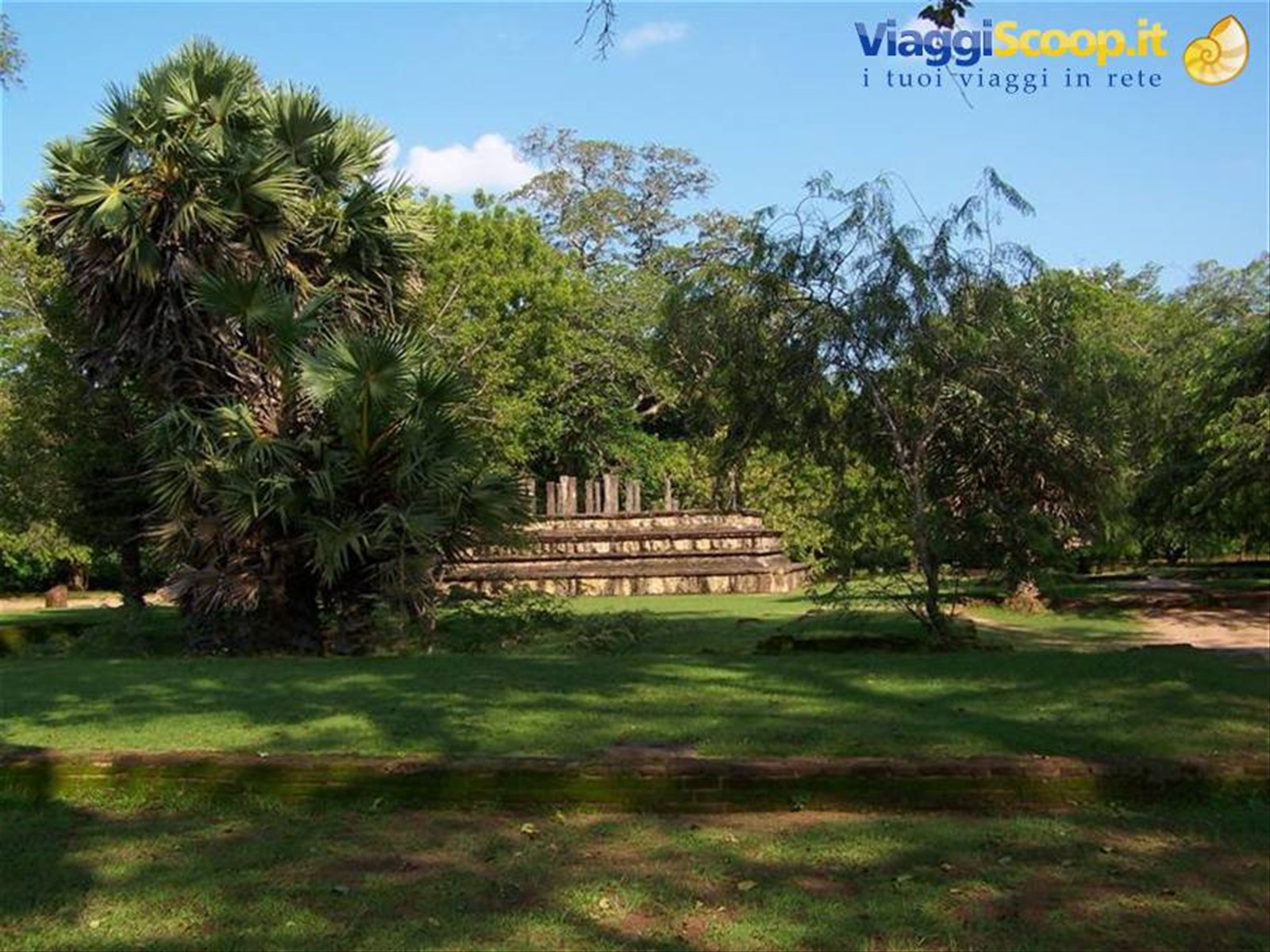 Foto di viaggio in SRI LANKA