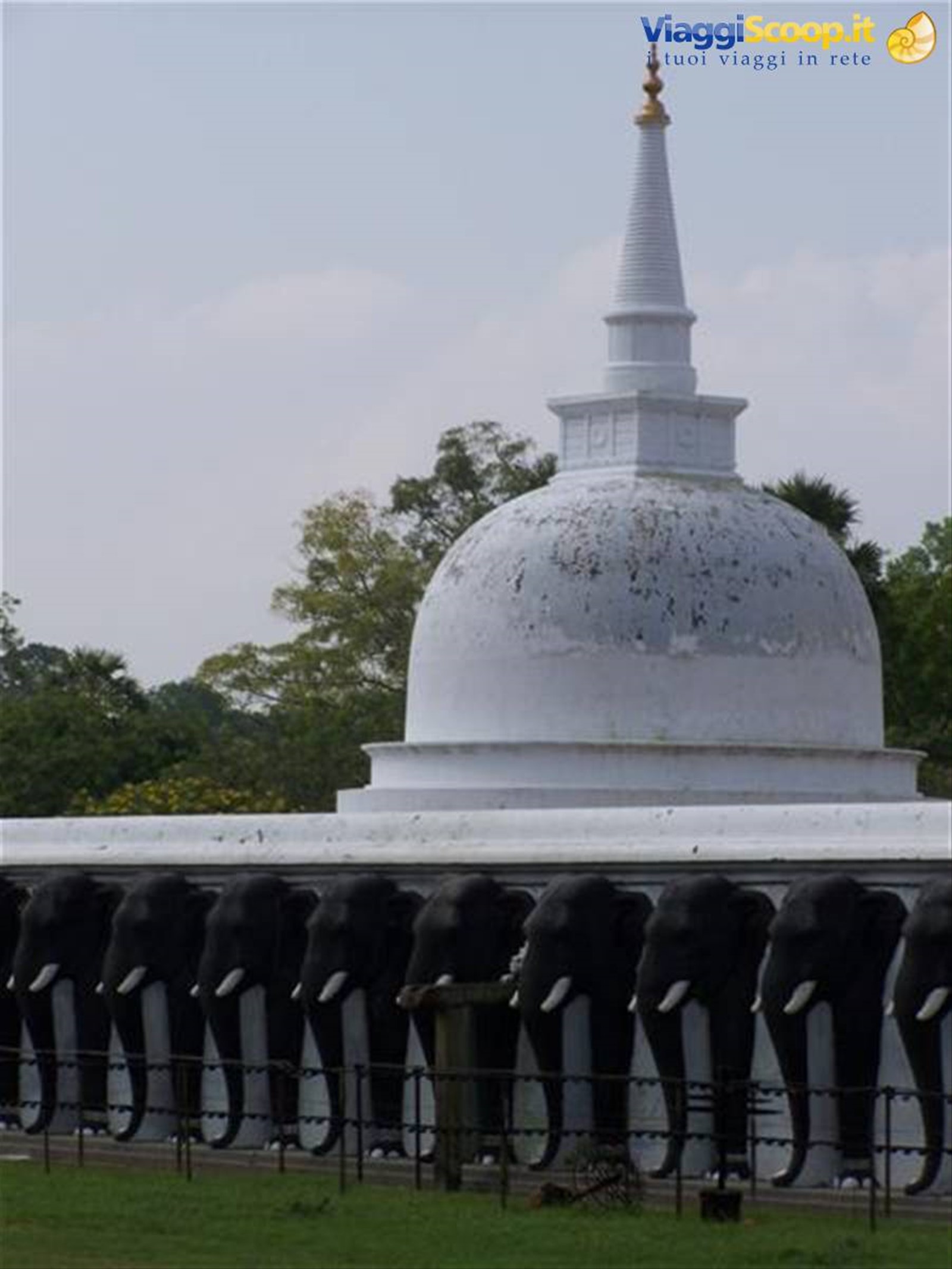 Foto di viaggio in SRI LANKA