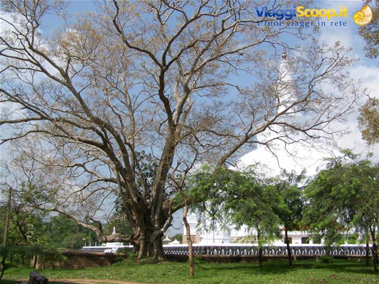 Foto di viaggio in SRI LANKA