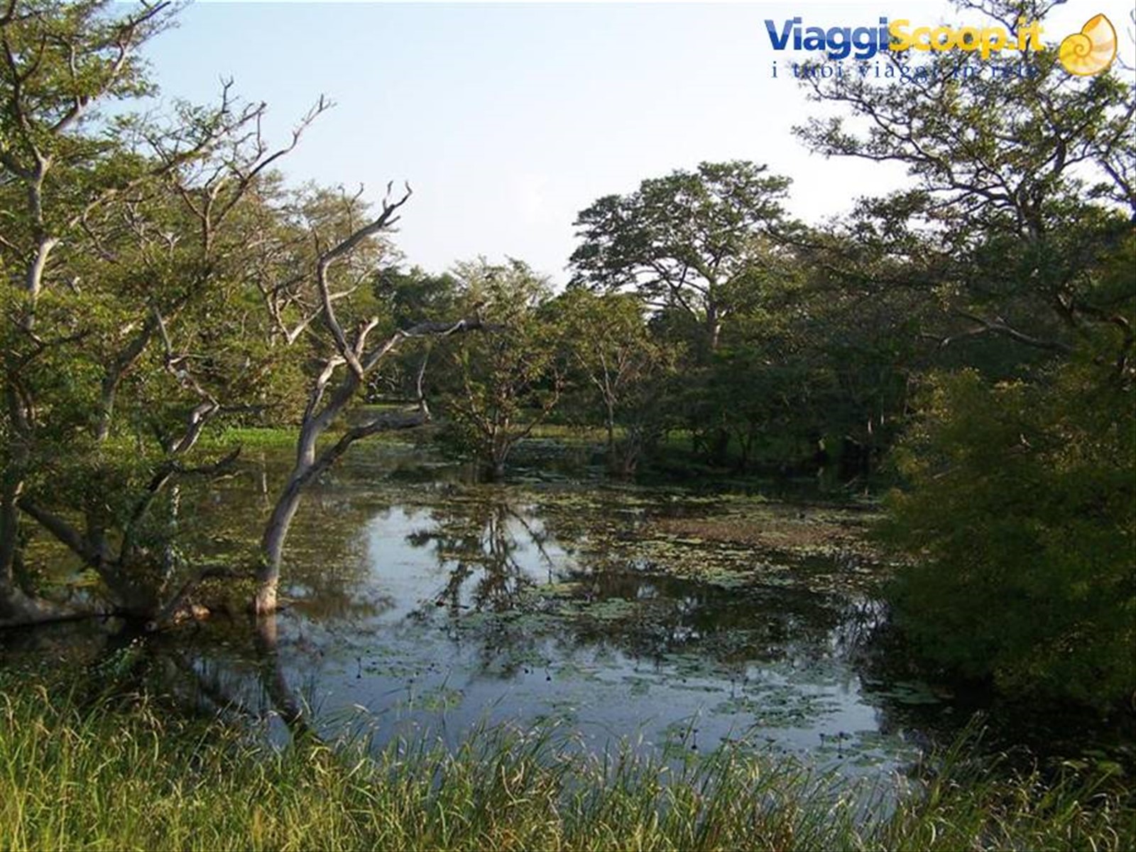 Foto di viaggio in SRI LANKA