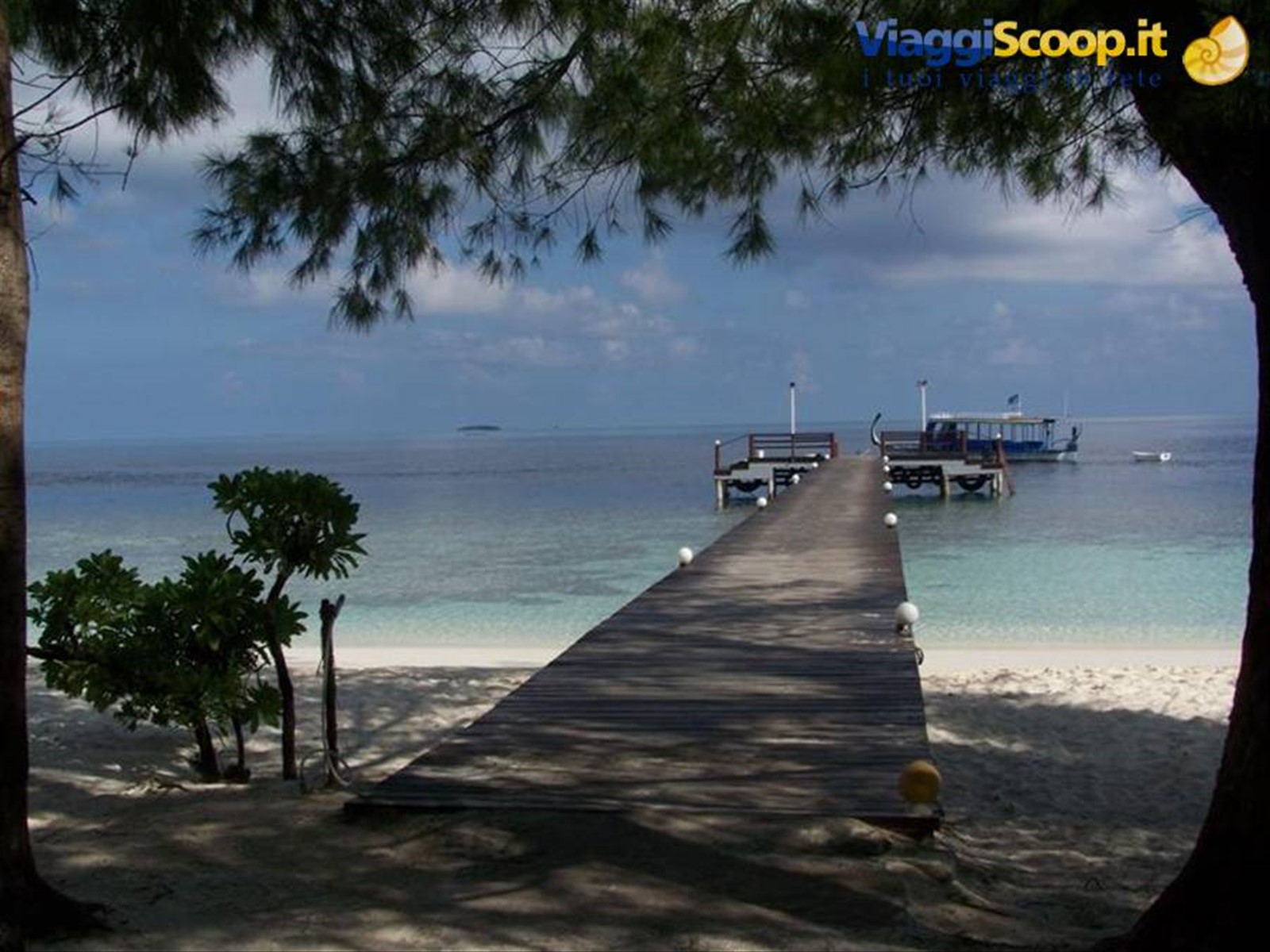 Foto di viaggio in MALDIVE