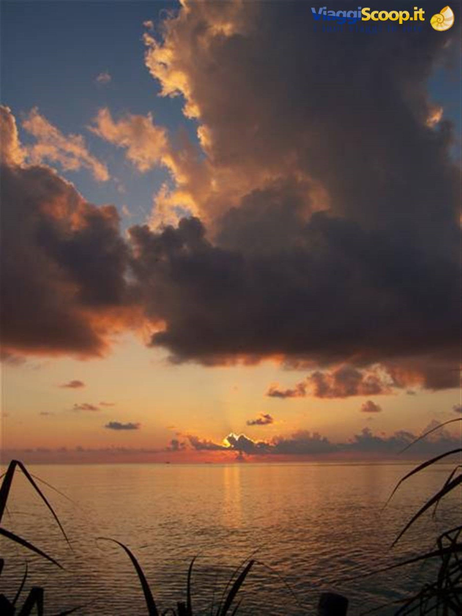 Foto di viaggio in MALDIVE