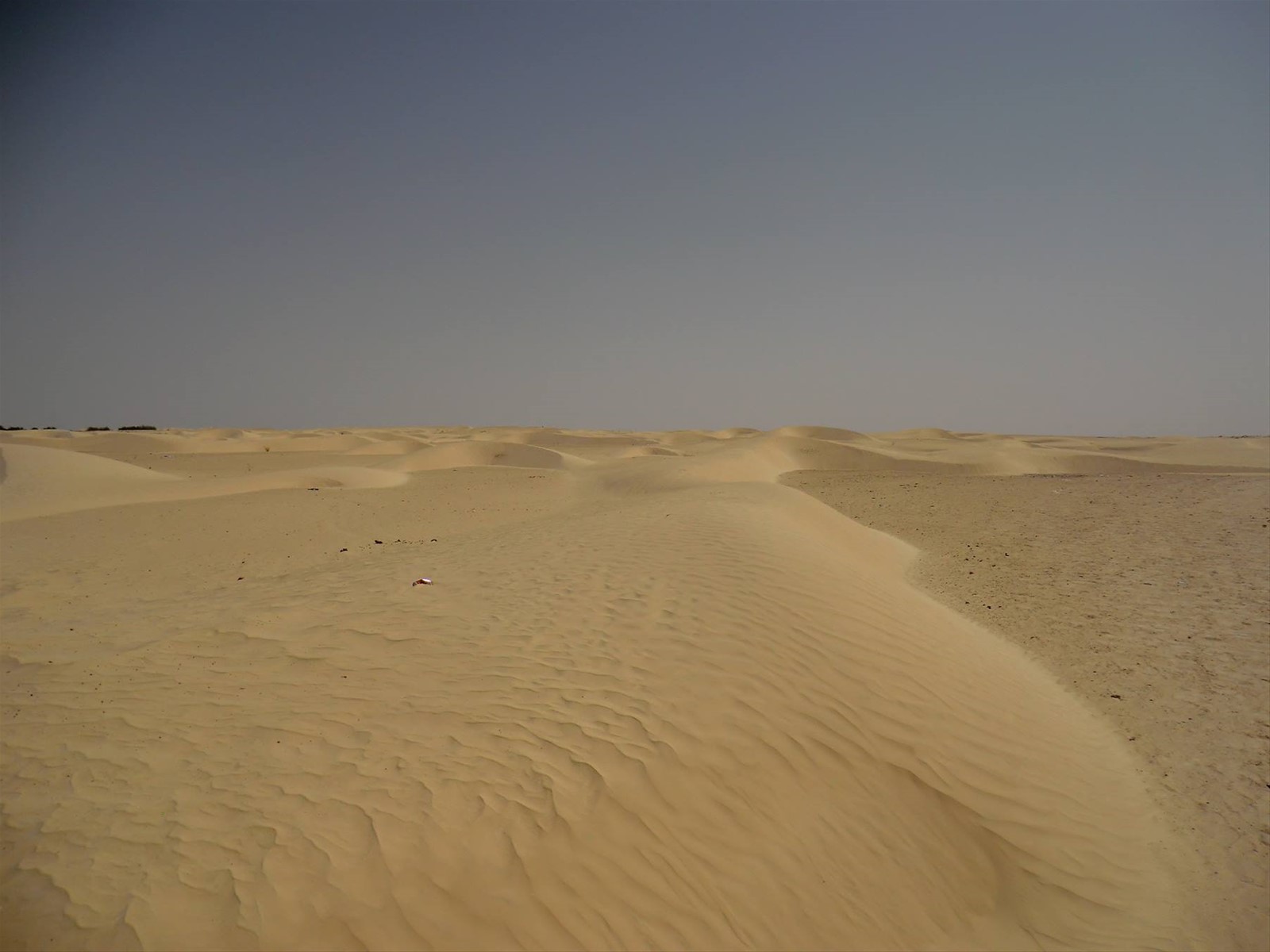 Sahara