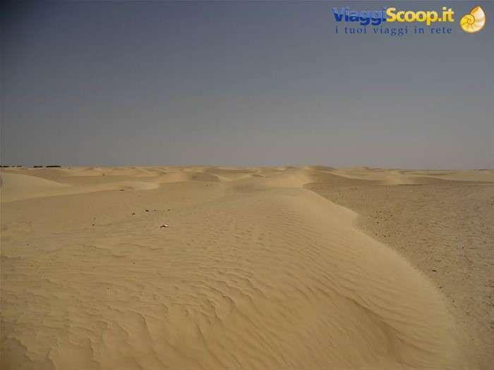Sahara
