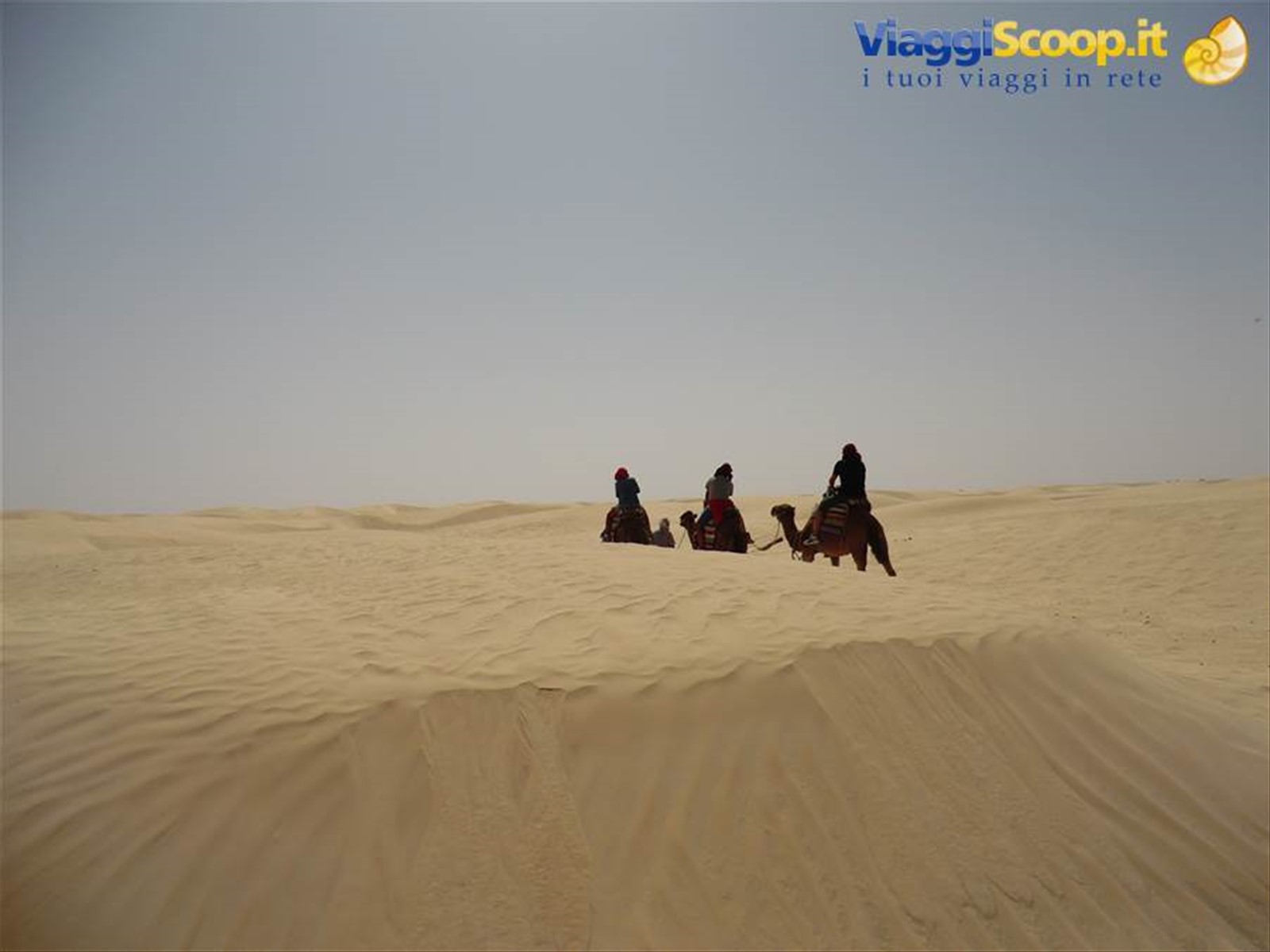 Foto di viaggio in TUNISIA