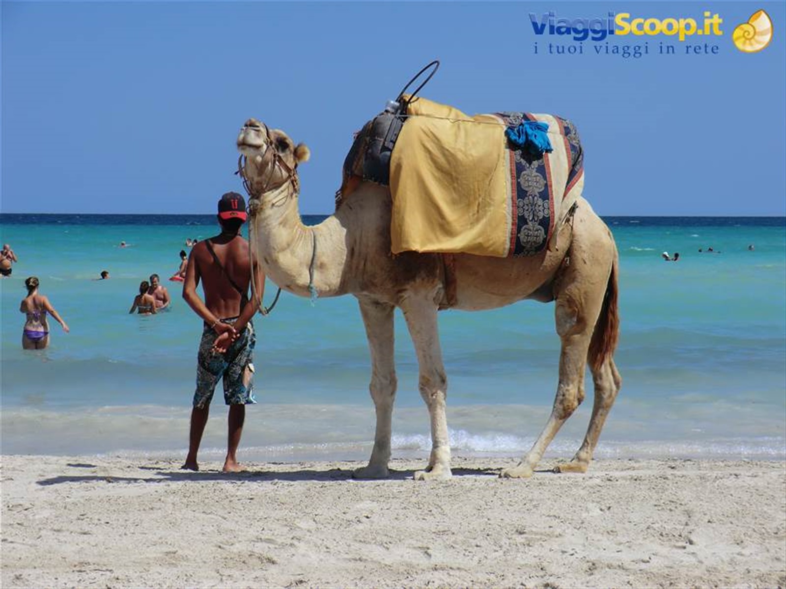 Foto di viaggio in TUNISIA