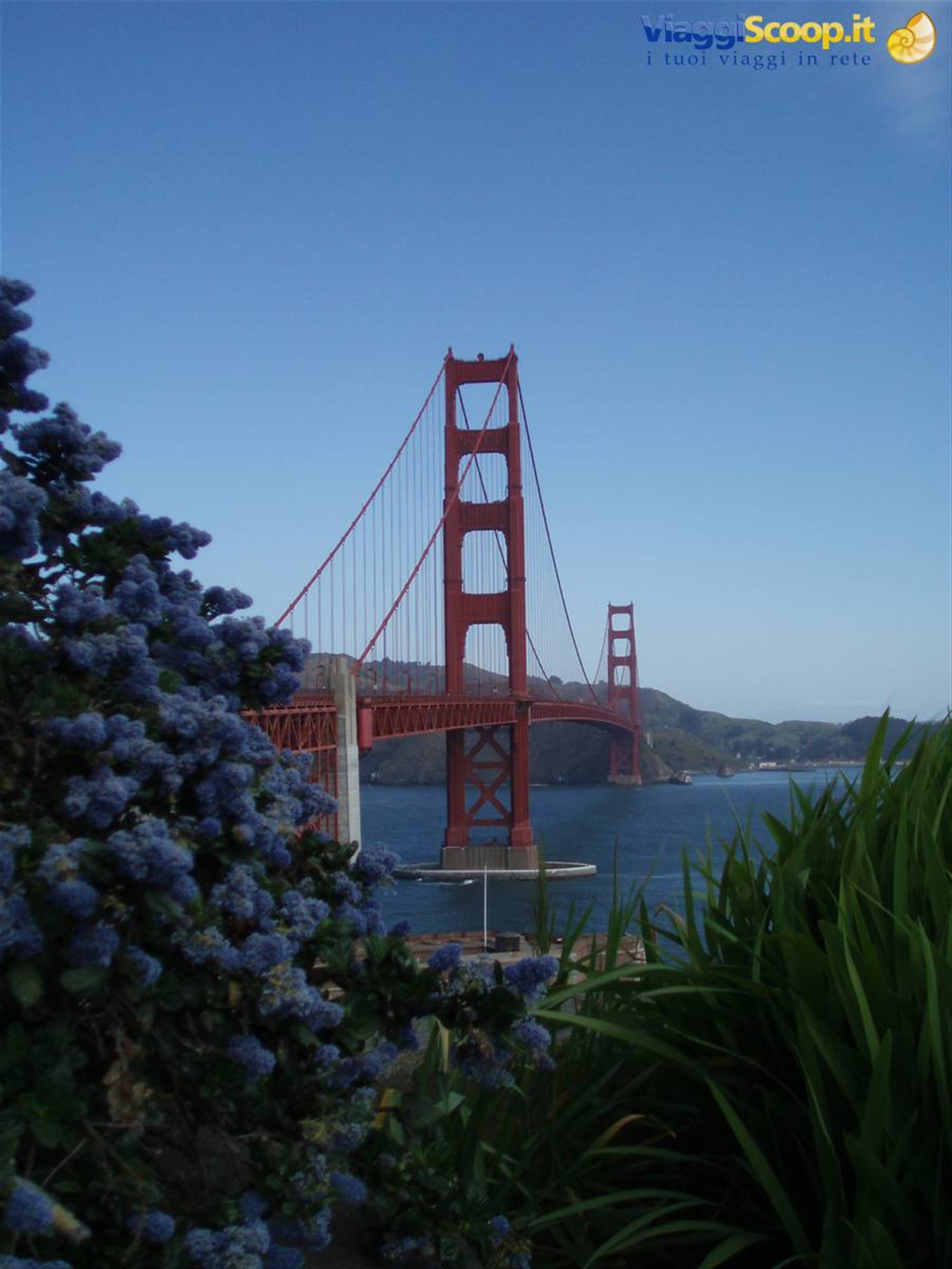 Frisco