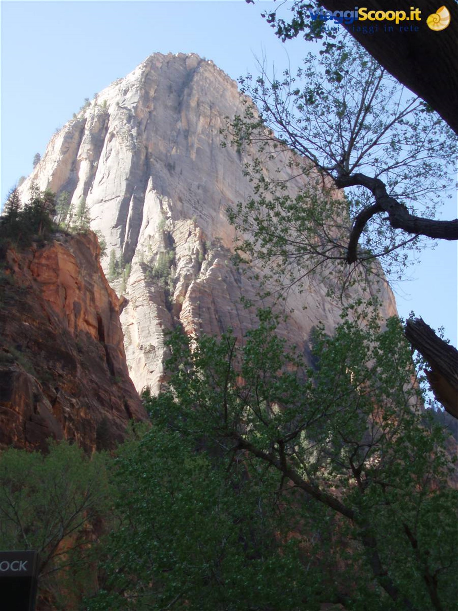 zion n.p.
