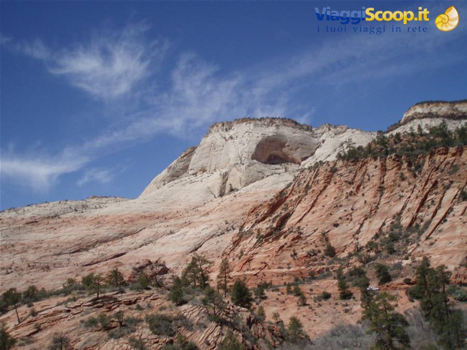 zion n.p.