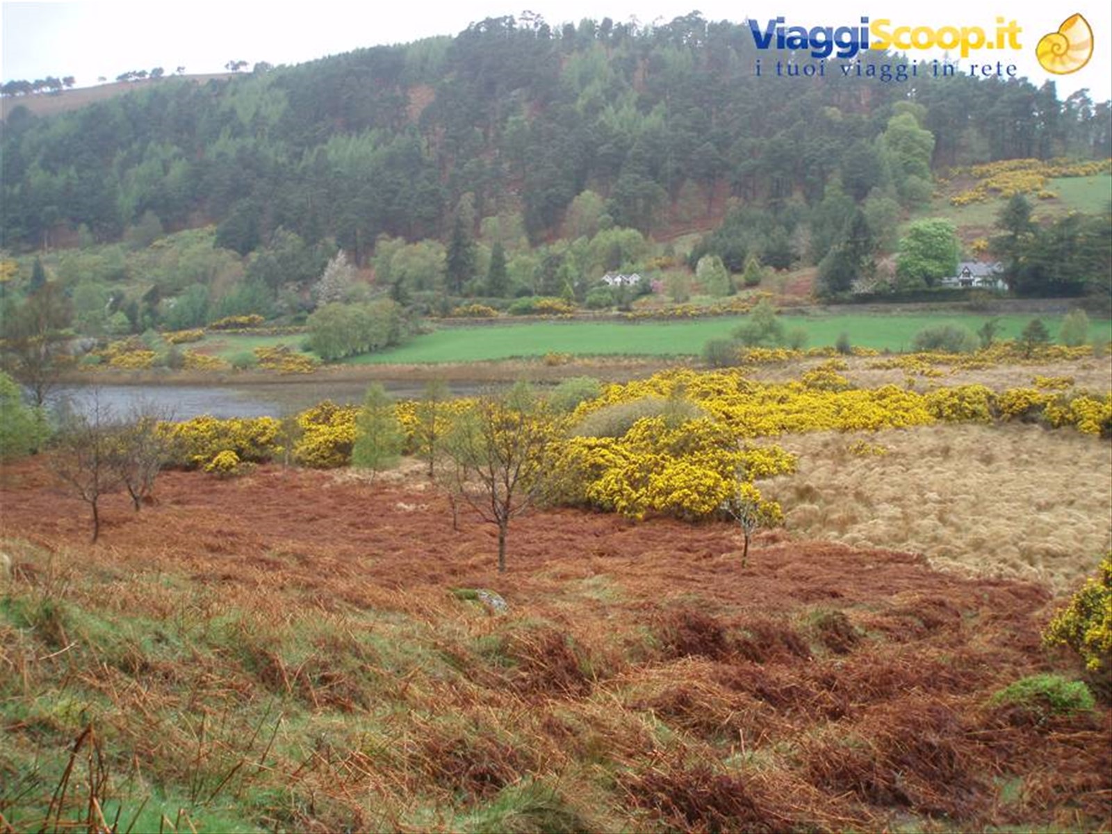 Glendalough