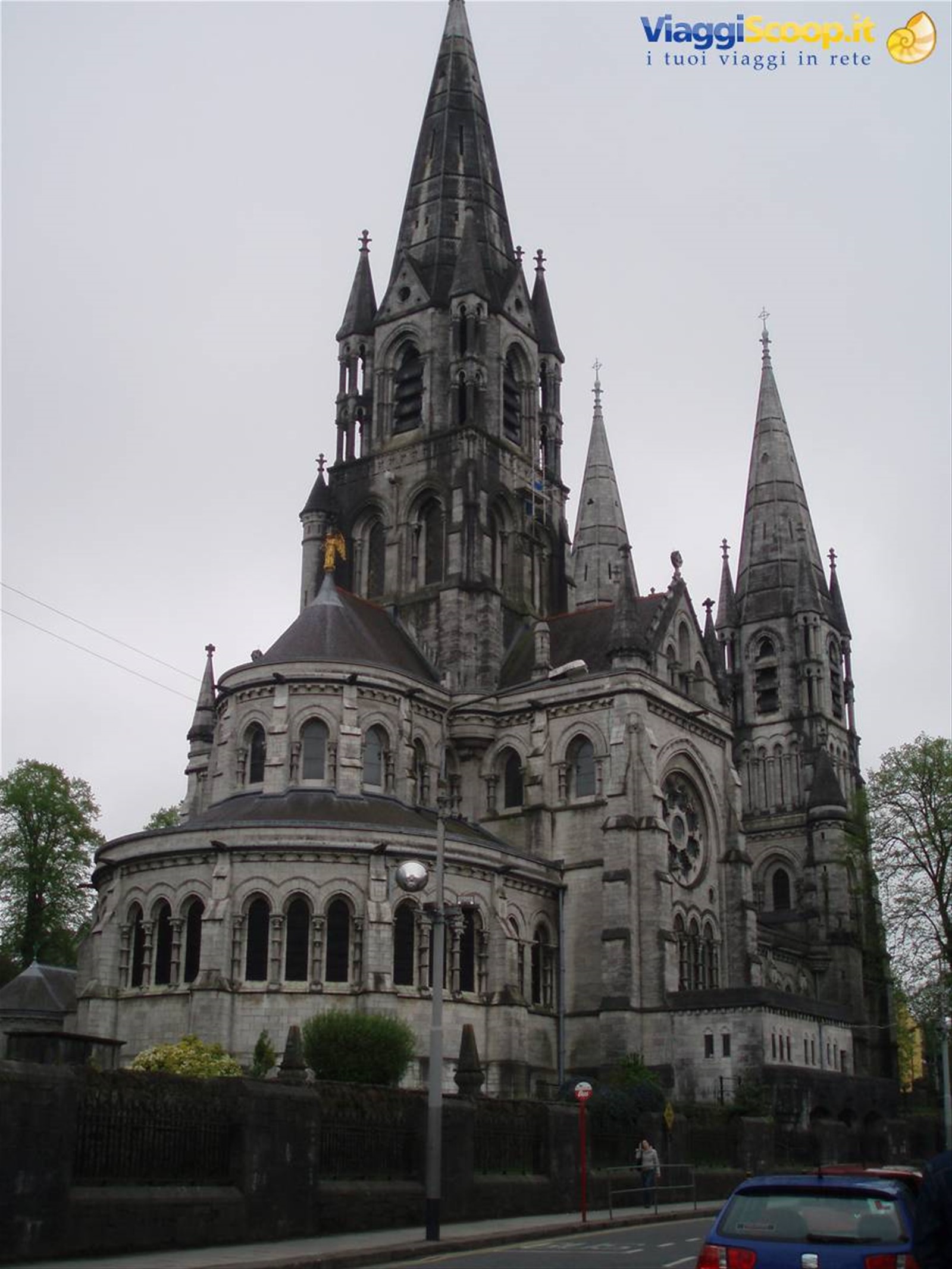 Cork