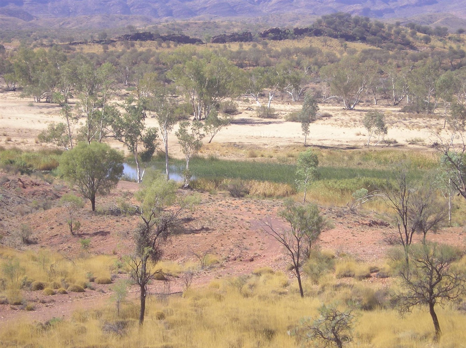 Foto di viaggio in AUSTRALIA