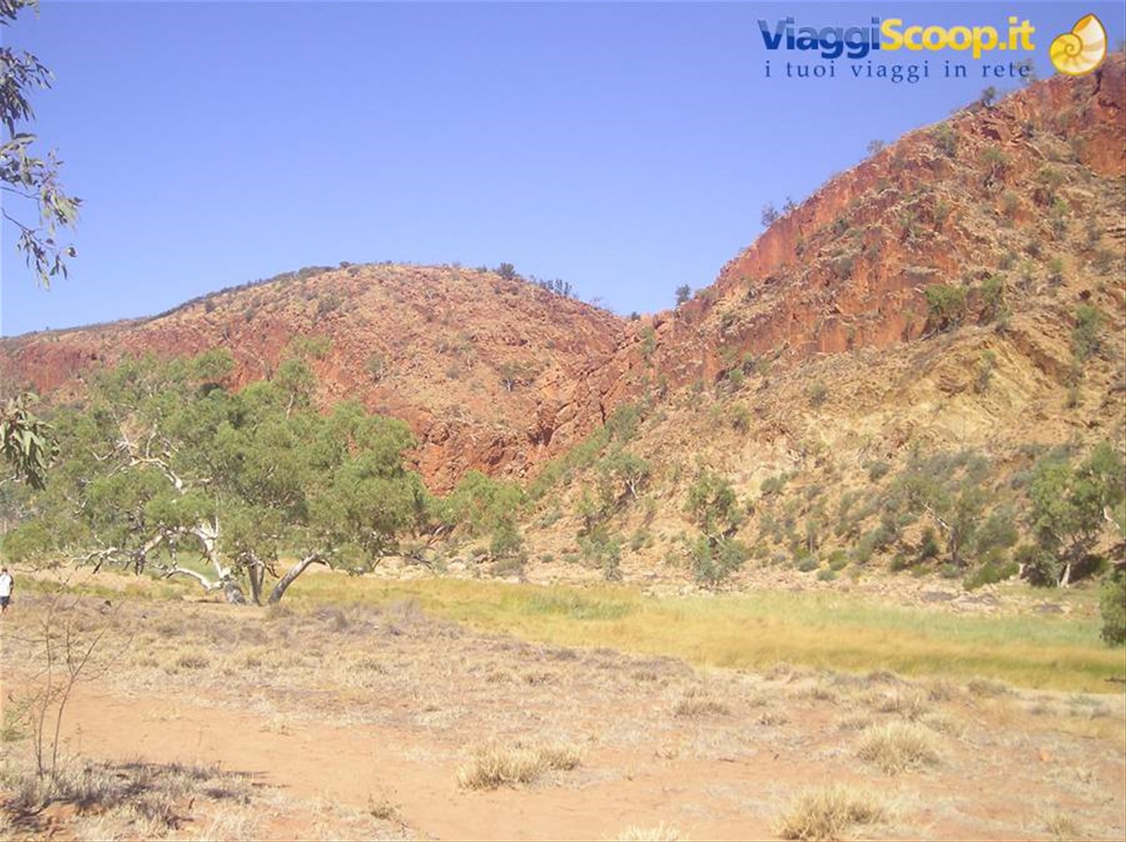 Foto di viaggio in AUSTRALIA