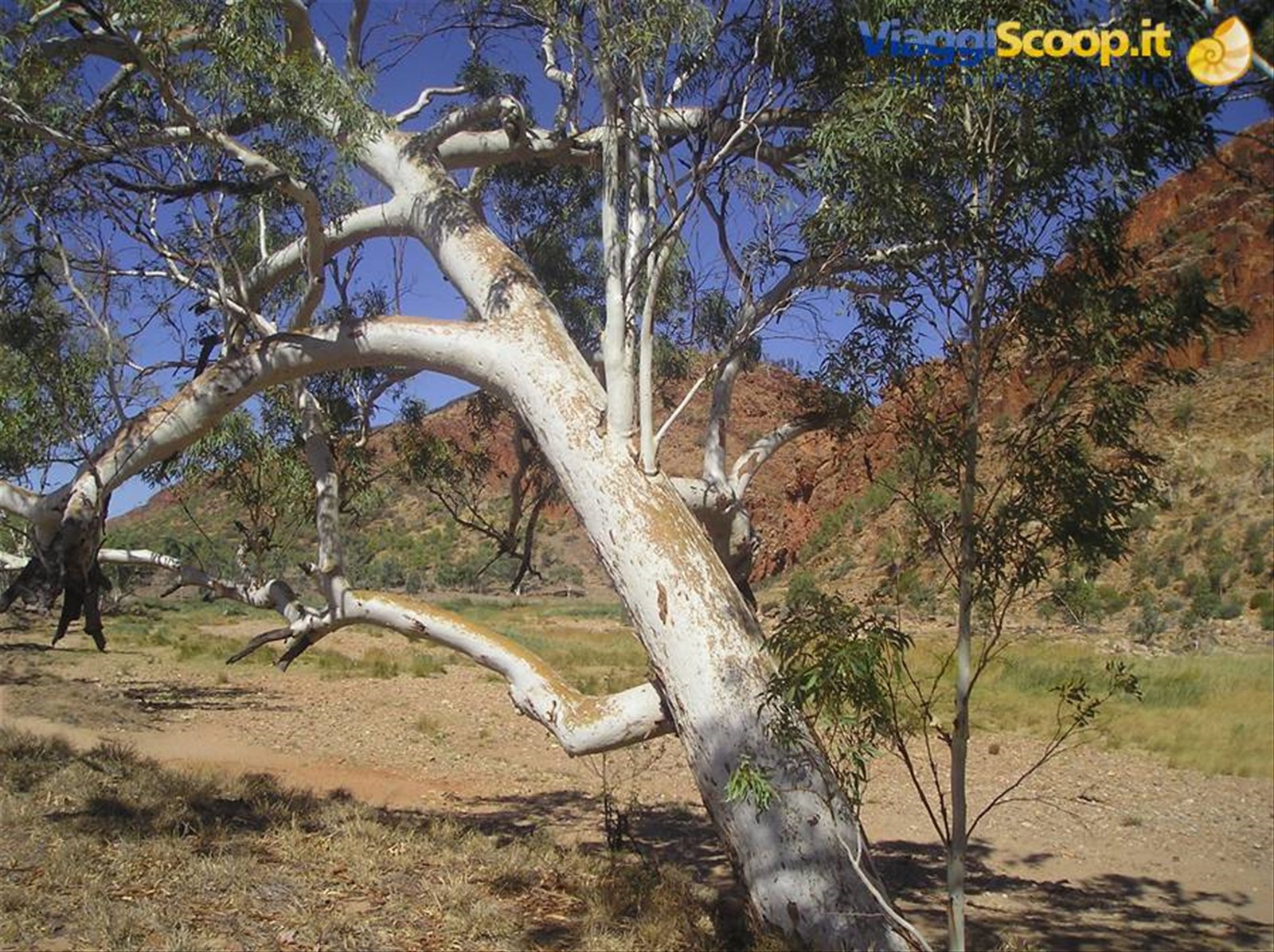 Foto di viaggio in AUSTRALIA