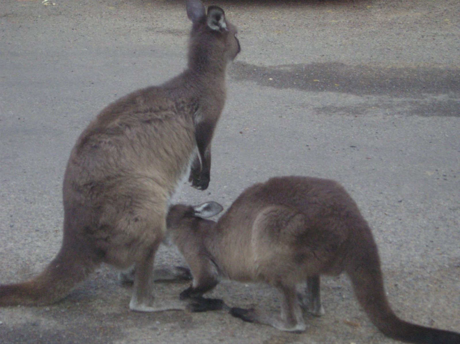 so sweet!!