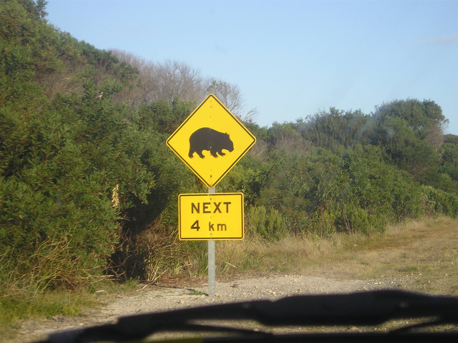 Foto di viaggio in AUSTRALIA