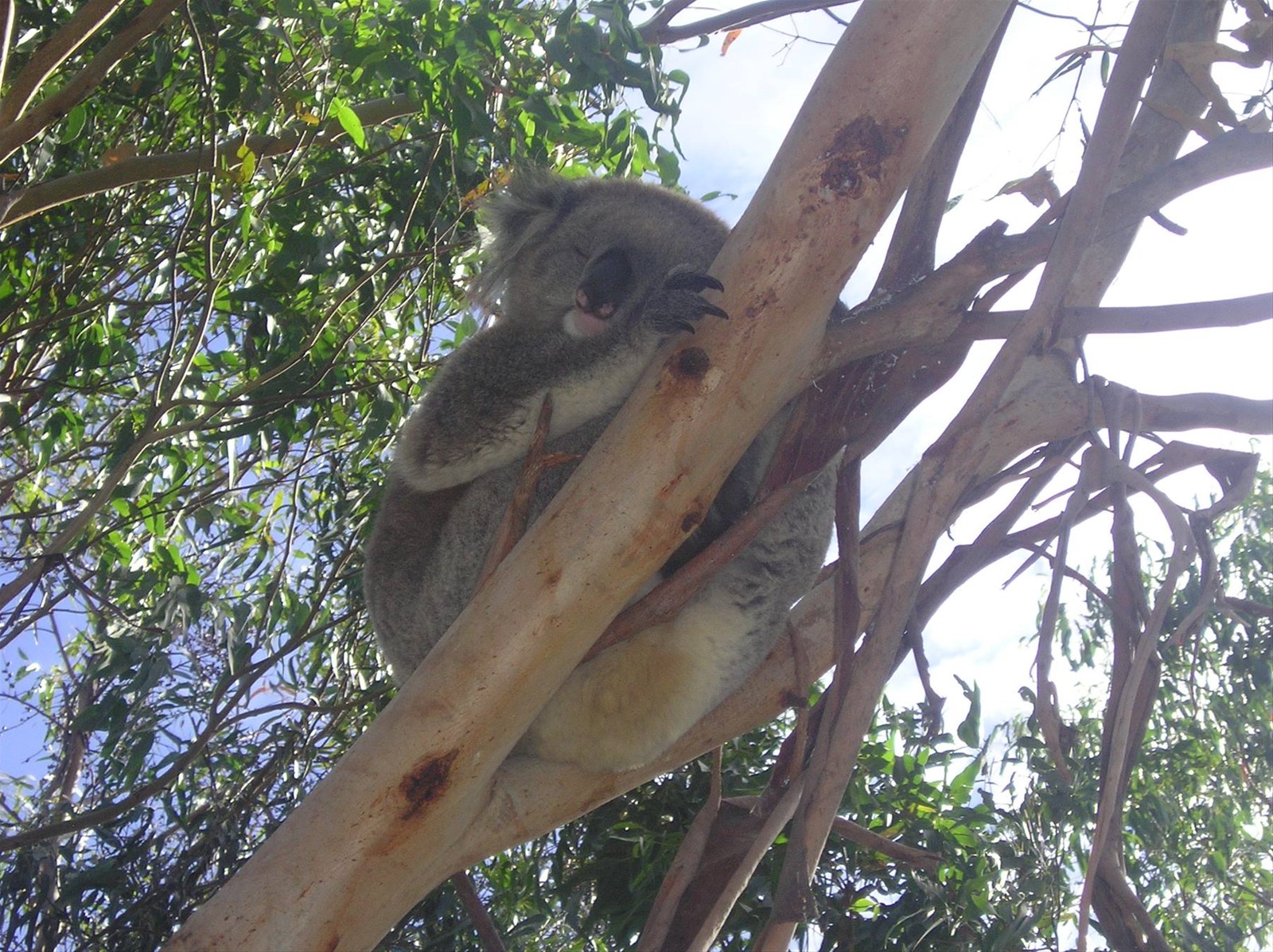 Foto di viaggio in AUSTRALIA